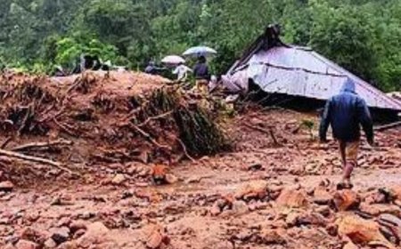Kerala high court slams Centre over indecision on Wayanad loan relief