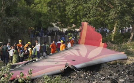 Ahmedabad plane crash: Air India announces Rs 25 lakh interim payment to families of deceased; says 'stands in solidarity'