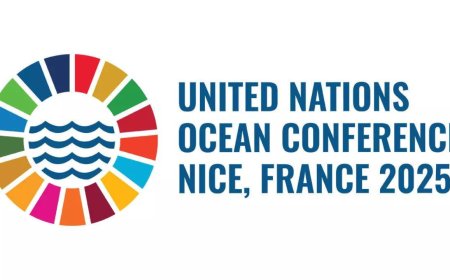 UN Ocean Conference moves high seas treaty closer to global law as India pledges ratification and calls for ocean protection