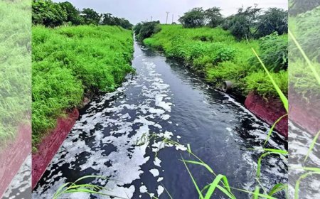 13 dead in 15 days as 'toxic drain' sparks health crisis in UP village