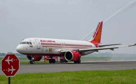 AI Vadodara-bound flight safely returns to IGIA after suspected landing gear snag
