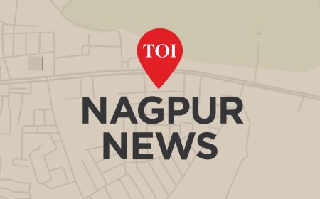 Mumbra train mishap: Probe slows down as inputs from key CR staff awaited