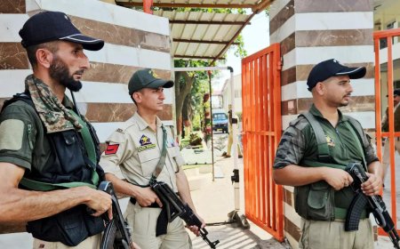 Jammu and Kashmir: Raids in Poonch to bust terror links