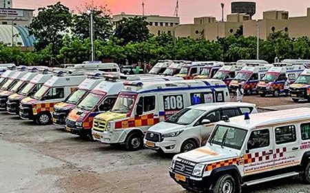 Airspace closures, Dreamliner checks trigger delays