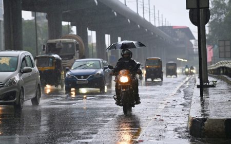 Heavy rains in Mumbai: Red alert for Raigad; trains and flight services hit