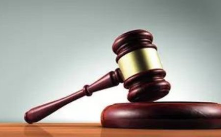 India not a signatory, UNHCR card not valid here, says court