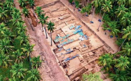 Centre-Tamil Nadu dispute over Keeladi find claims 1st victim: ASI director shunted