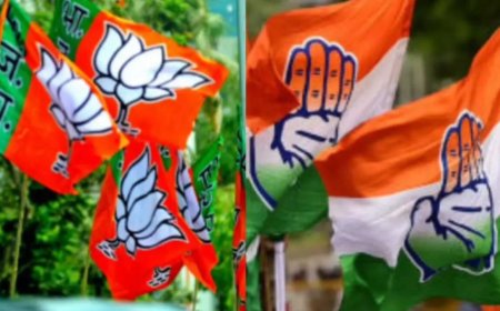 ADR report: BJP spent Rs 1,494 crore in 2024 polls; Congress 2nd-highest spender with Rs 620 crore