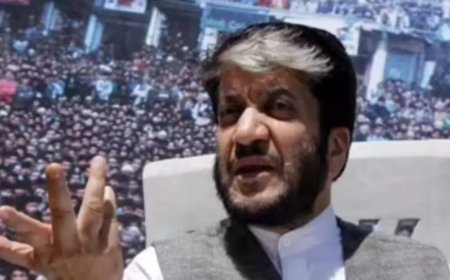 Political parties in Jammu and Kashmir seek home custody for separatist leader