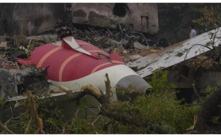 Ahmedabad plane crash aftermath: 245 bodies given to kin; 251 victims identified through DNA tests till now