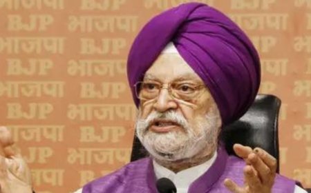 India’s oil supply chain safe from Hormuz closure: Puri