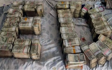 ED raids Himachal Pradesh assistance drug controller for bribery, extortion