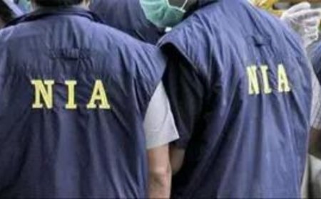Pahalgam attack: Terrorist harbourers remanded in 5-day NIA custody