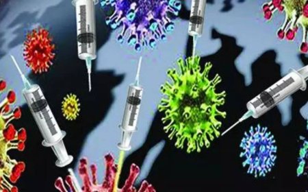 Covid-19 wave ebbs; cases, fatalities on the decline; doctors now advise rest, not tests