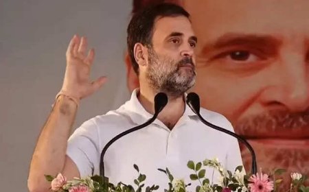 'All elections held as per law': EC rebuts Rahul’s rigging claim; LoP raises fresh 'voter theft' charge