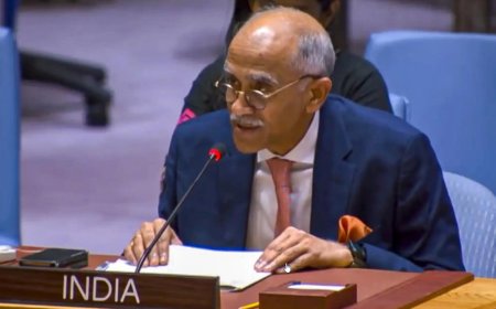 'Nefarious agenda': India slams Pakistan at UNSC; says it shelled civilians, supports terror