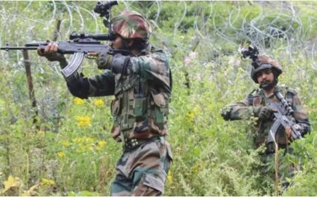 J&K encounter: Four JeM terrorists trapped in Udhampur; search operation underway