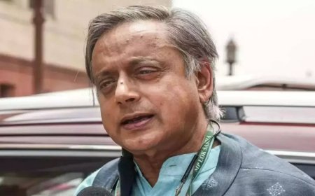 'Even a free bird must watch': Shashi Tharoor’s cryptic post ruffles Congress feathers, triggers 'vultures' warning