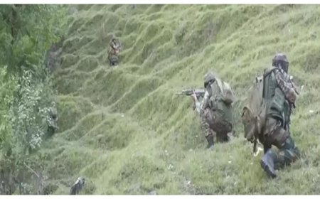 Operation Bihali: 1 terrorist killed by forces in J&K's Basantgarh; encounter under way