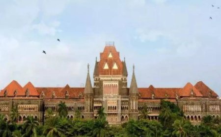 Bombay HC orders preservation of dead man's semen on mother's plea