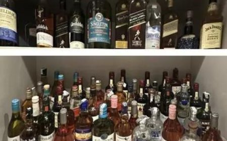 40 accounts, 60 booze bottles seized from Himachal Pradesh drug controller