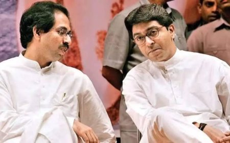 'United march against Hindi imposition': Language row to unite Thackeray brothers? What Sanjay Raut said