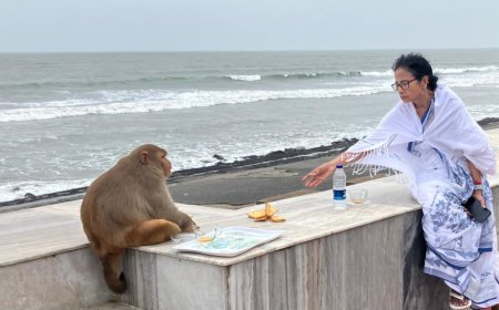 'Tea by the sea': West Bengal CM Mamata Banerjee's photo with monkey goes viral - see pics