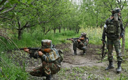 Udhampur op: Forces hunt for 3 trapped ultras in Basantgarh forests