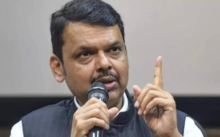 As CM, Uddhav accepted report saying Hindi compulsory, says Fadnavis