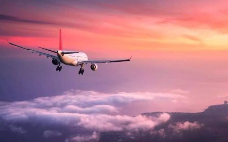 Husband-wife tiff turns ugly on Delhi-bound flight; man handed over to security on arrival