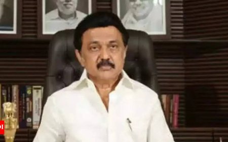 DMK a rising sun, says Stalin in reaction to Shah's remark