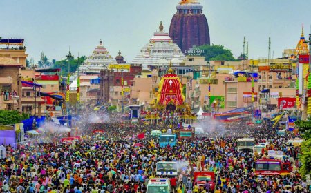 Jagannath Rath Yatra stampede: Eye witnesses recall horror; ex-CM Patnaik blames 'incompetence' for deaths - top developments