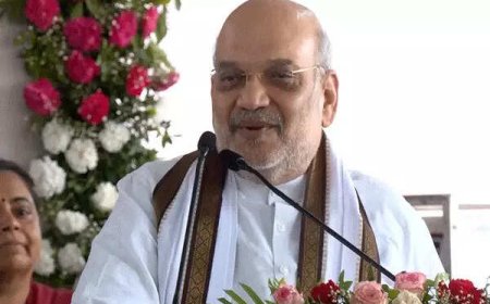 'No talks': Amit Shah asks Naxalites to give up arms, join mainstream