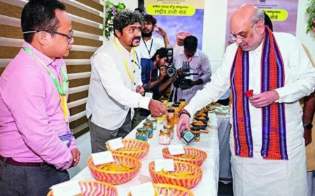 ‘Drop guns & join mainstream’: Amit Shah rules out talks with Reds