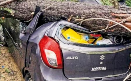 HP landslides, flash floods block highways and heritage tracks