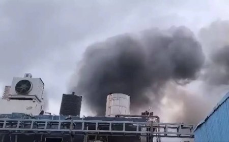 Reactor blast in Telangana: 5 killed after fire breaks out in Pashamylaram; rescue ops under way