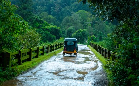 India to see above-normal July rainfall; Northeast, East & South may face deficit: IMD