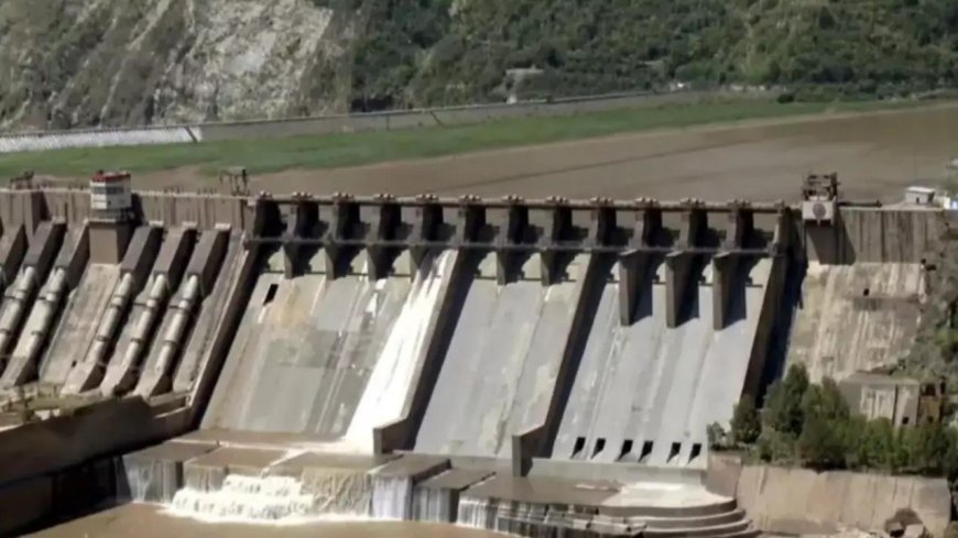 Pakistan violated Indus Water Treaty through terror: India