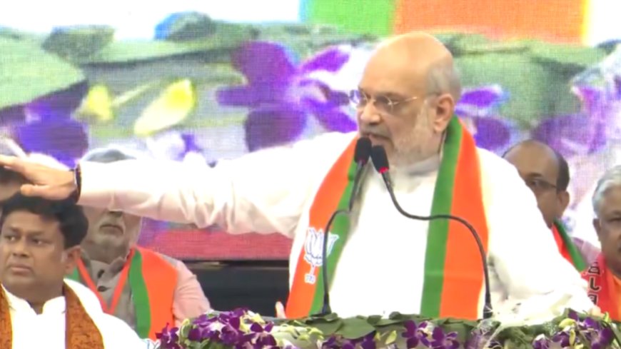 'Hundreds of BJP workers killed after Mamata became CM': Amit Shah takes on TMC chief