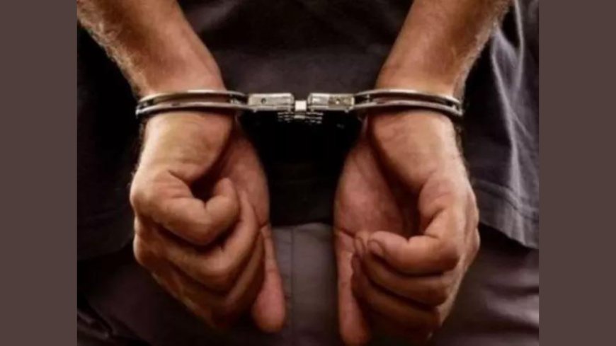 Udhampur police arrest 99 bovine smugglers; slap PSA against 4, rescue 618 animals in last 5 months