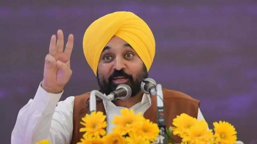 Bhagwant Mann sparks row with 'one nation, one husband' remark; BJP terms it 'vulgar'