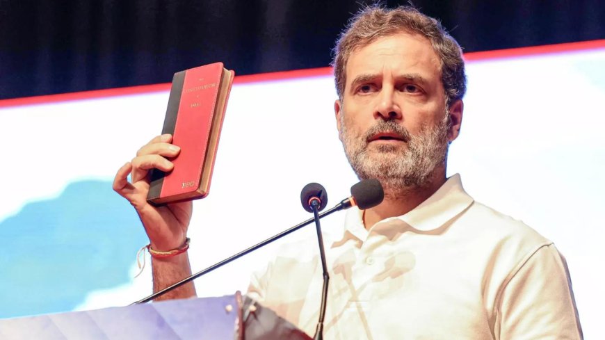 Allahabad HC rebukes Rahul Gandhi: Free speech has limits; Army can't be defamed