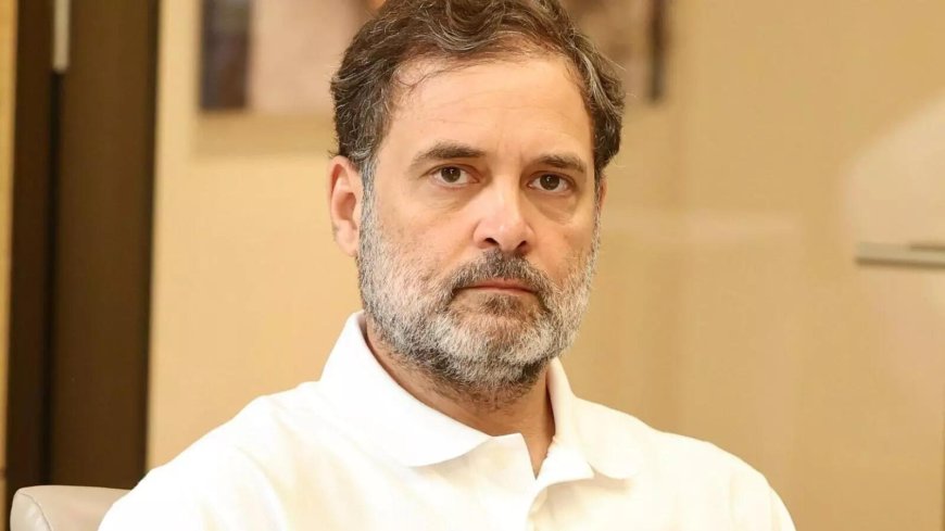 'Retire lame horses': Rahul Gandhi saddles up for Congress overhaul in MP; BJP asks 'what about you?'