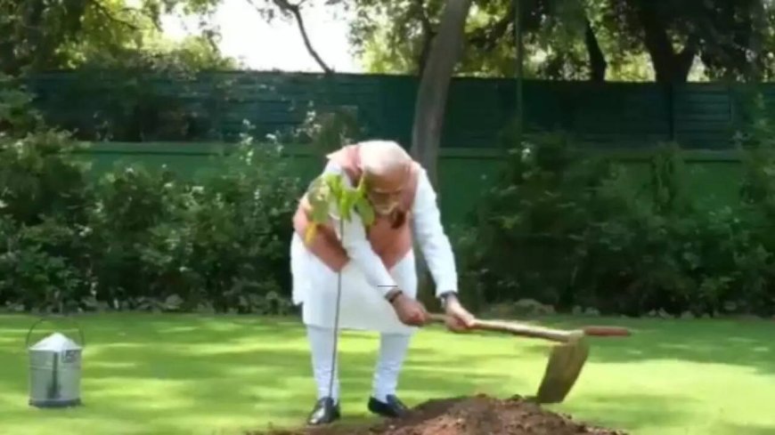 PM Modi marks Environment Day; plants Sindoor at residence- watch video