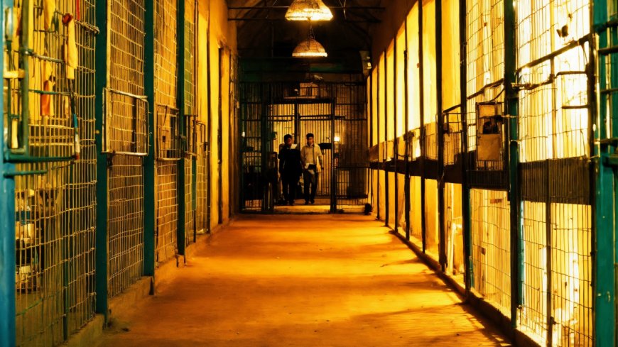 Murder inside Saket court lockup: Inmate killed by two others; old animosity suspected