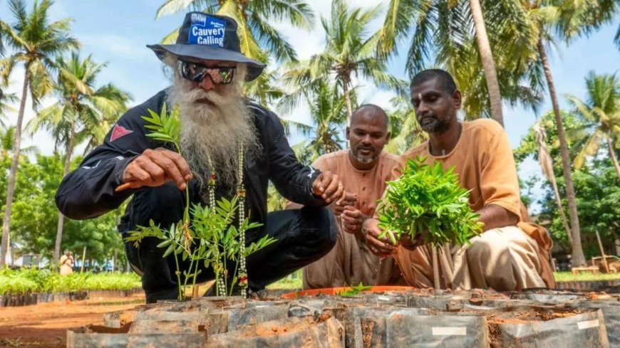 World Environment Day: Sadhguru's Cauvery Calling adds 1.36 crore trees; aim to revive river