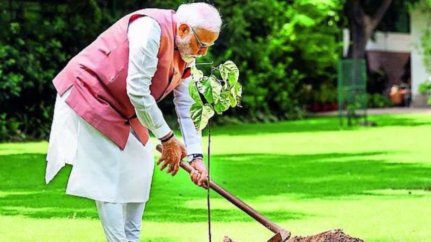 PM marks World Environment Day with a Sindoor sapling