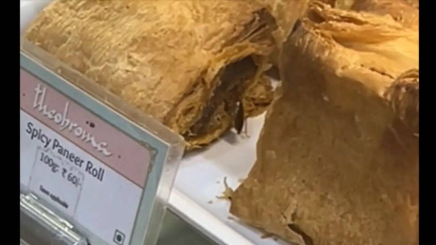 'Literally what we were placing order for': Cockroach crawls over paneer rolls at Mumbai Theobroma; video goes viral