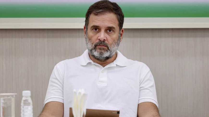 'Free of cost': EC counters Rahul Gandhi's voter roll demand; says polls details already provided