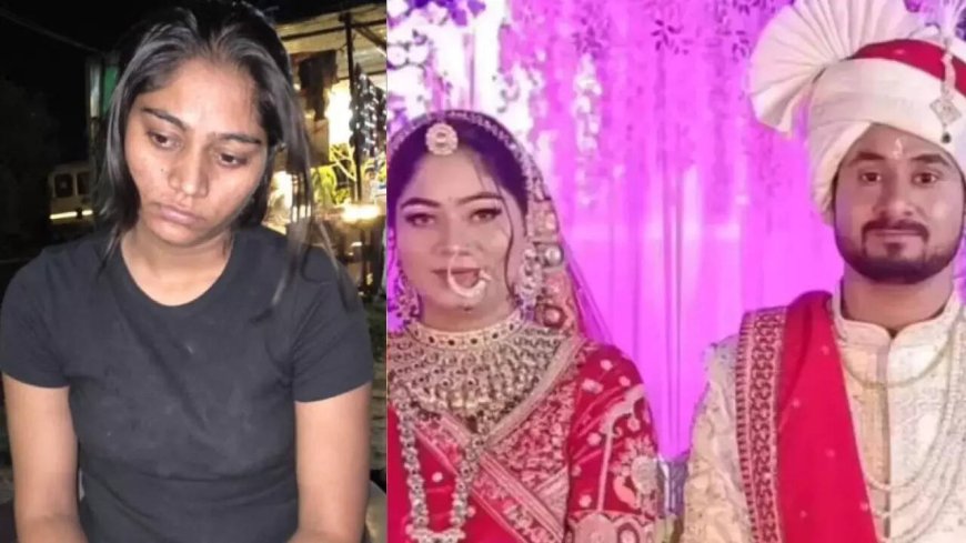 Honeymoon murder case: Meghalaya cops solve murder in 7 days, prove efficiency